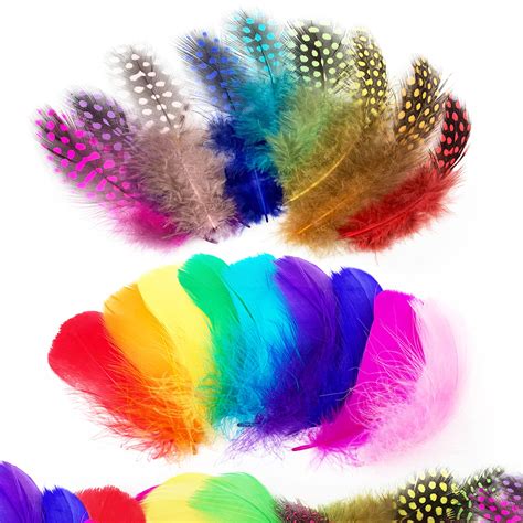 Wild Rainbow Feathers Betfair